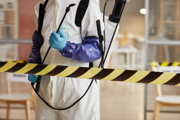 Professional Sewage Cleanup technician working in Filley, NE